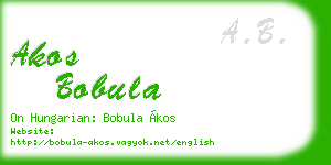 akos bobula business card